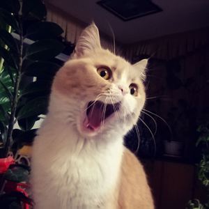 日❌❌老师❌❌奶头
